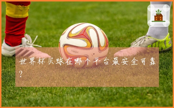 世界杯买球在哪个平台最安全可靠？