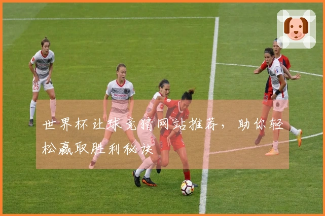 世界杯让球竞猜网站推荐，助你轻松赢取胜利秘诀