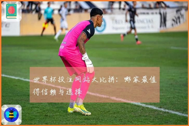 世界杯投注网站大比拼：哪家最值得信赖与选择
