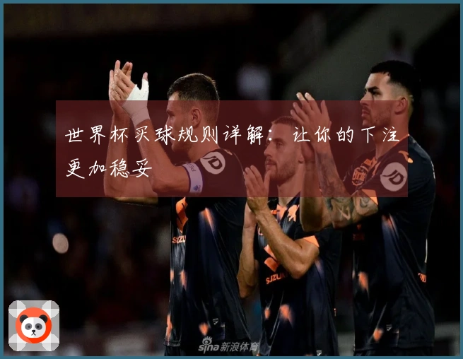 世界杯买球规则详解：让你的下注更加稳妥