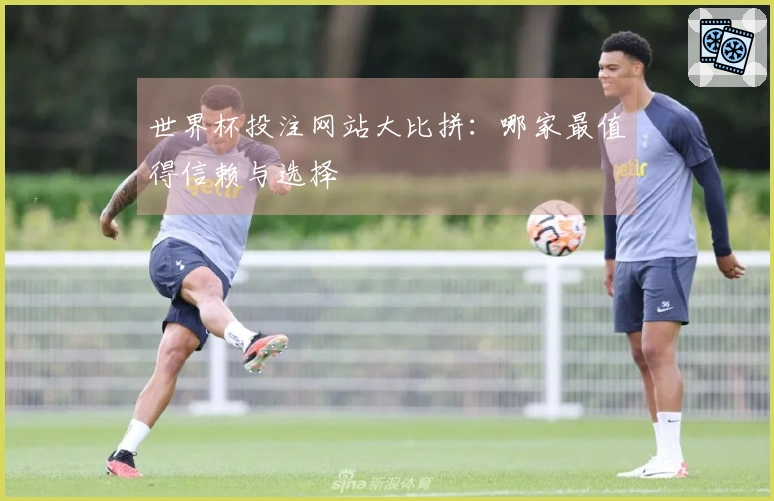 世界杯投注网站大比拼：哪家最值得信赖与选择